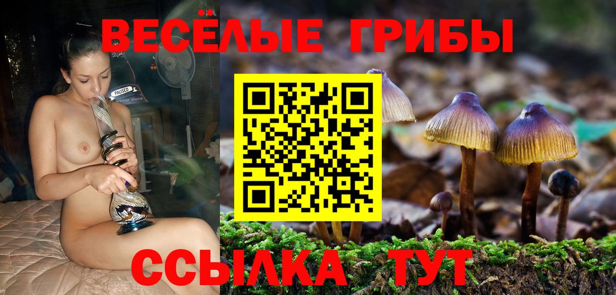 Галлюциногенные грибы ЛСД  Псилоцибиновые грибы Magic Shrooms  Псков  Вход с VPN 