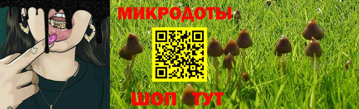 Псилоцибиновые грибы GOLDEN TEACHER Псков